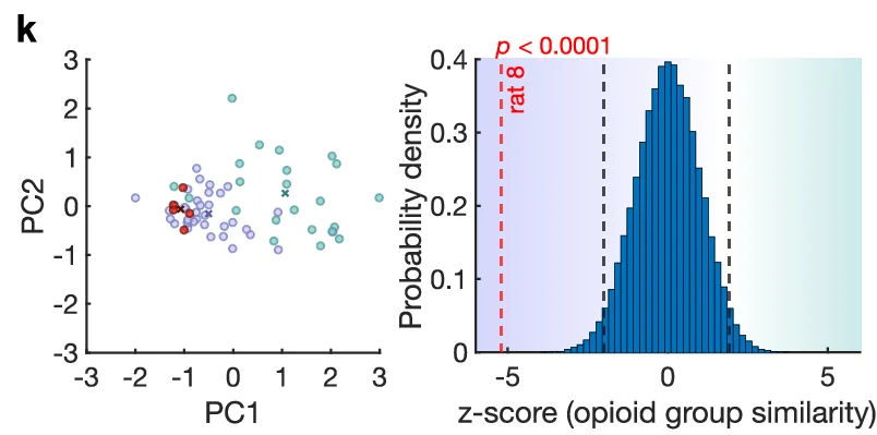 Open access visualization of Scatter Plot, Histogram, PCA, PC1, PC2