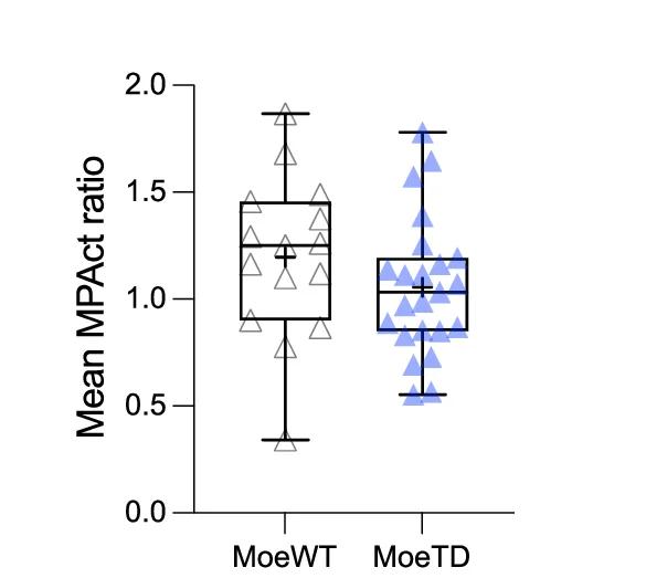 Open access visualization of Box Plot, Scatter Plot, MPAct Levels, Hemocytes, Moesin