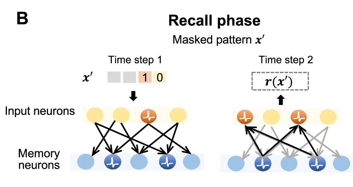 Open access visualization of Network Diagram, Neural Network, Recall Phase, Masked Pattern, Time Step 1