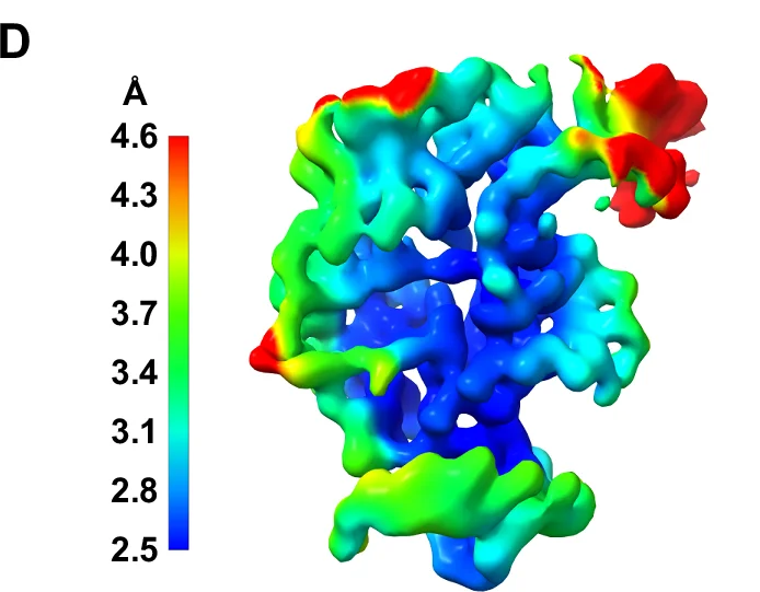 Open access visualization of 3D Visualization, Molecular Surface, Color Gradient, Resolution, Protein Structure