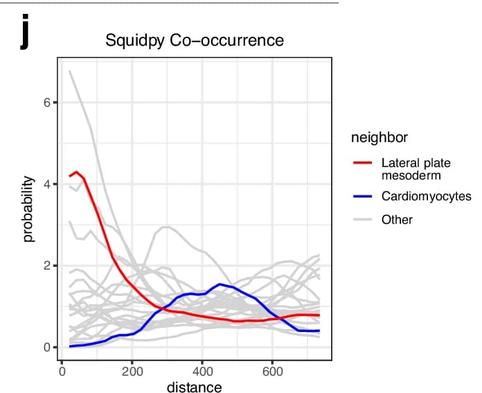 Open access visualization of Line Plot, Squidpy Co-occurrence, Probability, Distance, Lateral plate mesoderm