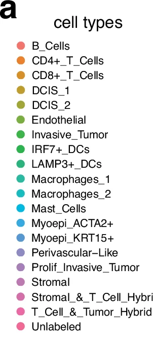 Open access visualization of Legend, Cell Types, B Cells, CD4+ T Cells, CD8+ T Cells