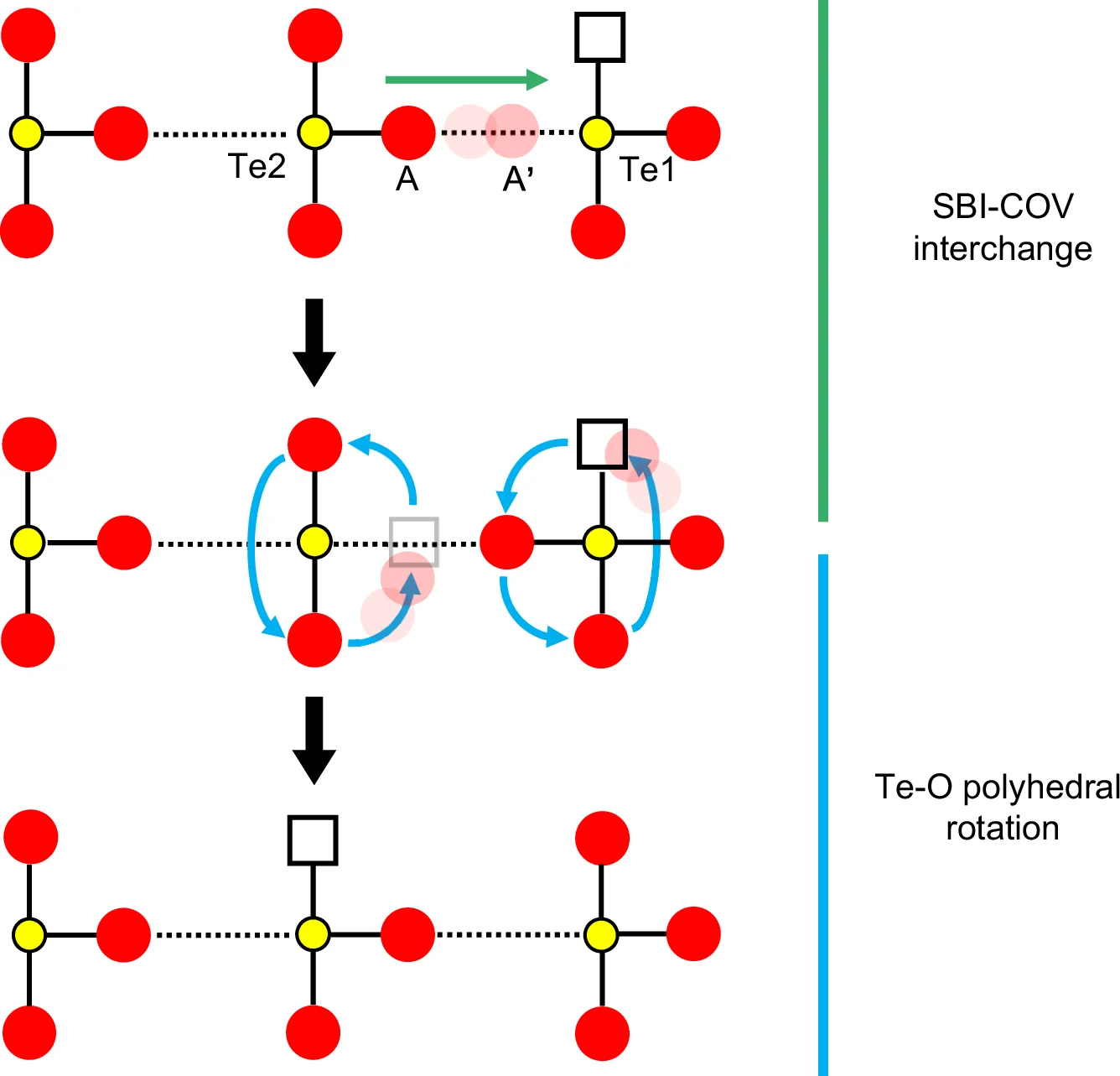 Open access visualization of Workflow, Illustration, Coordination Polyhedra, Oxide Ion Migration, Grotthuss-like Process