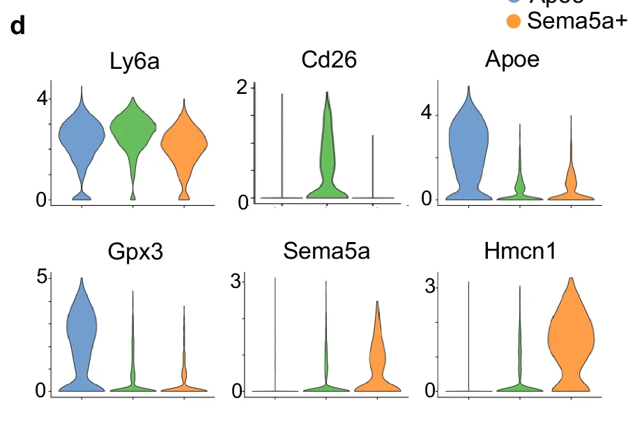 Open access visualization of Violin Plot, Ly6a, Cd26, Apoe, Gpx3