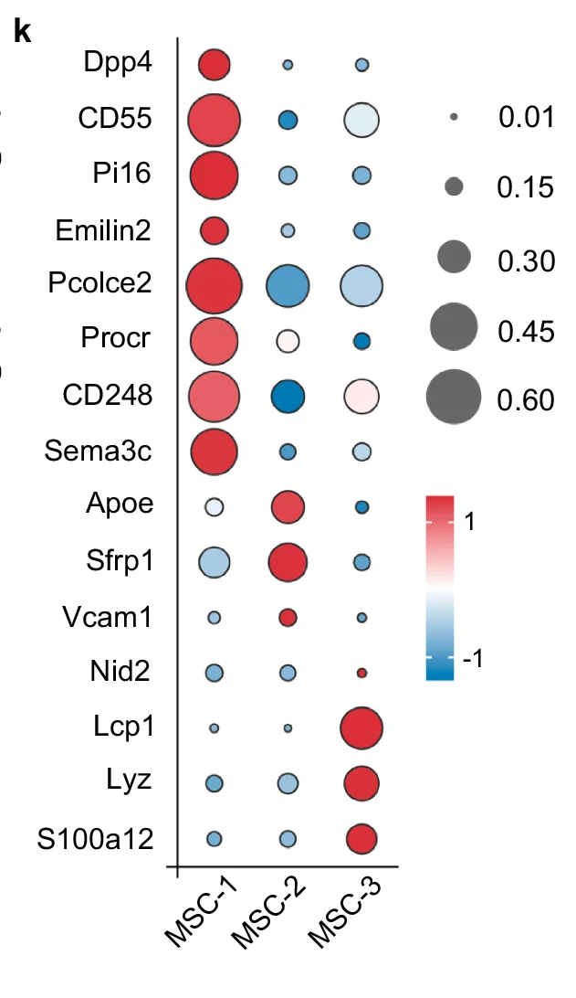 Open access visualization of Dot Plot, Gene Expression, MSC-1, MSC-2, MSC-3