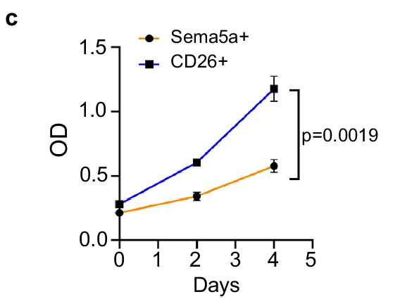 Open access visualization of Line Plot, Sema5a+, CD26+, OD, Days