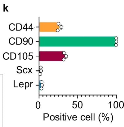 Open access visualization of Bar Plot, Scatter Plot, CD44, CD90, CD105