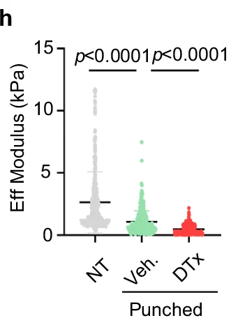 Open access visualization of Scatter Plot, Eff Modulus, Punched, NT, Veh.