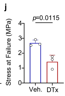 Open access visualization of Bar Plot, Stress at Failure, MPa, Veh., DTx