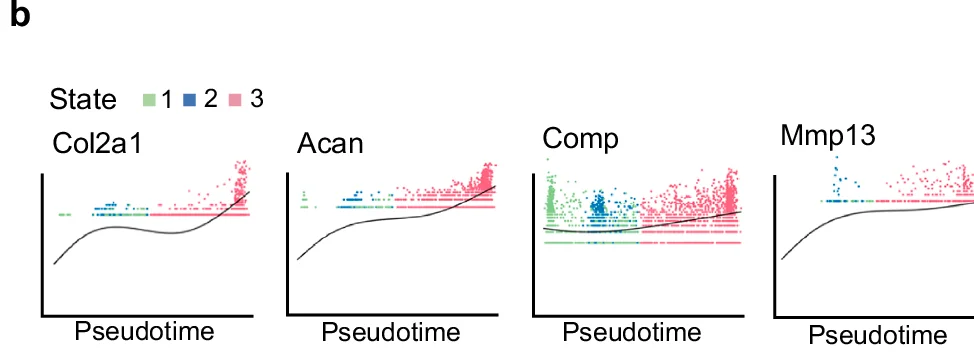 Open access visualization of Scatter Plot, Line Plot, Pseudotime, Gene Expression, Col2a1