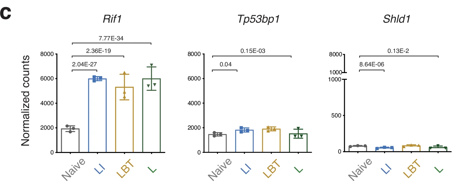 Open access visualization of Bar Plot, Rif1, Tp53bp1, Shld1, Normalized counts