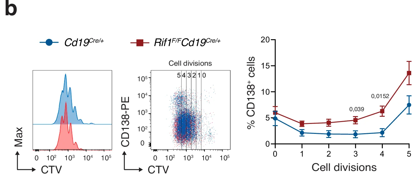 Open access visualization of Density Plot, Scatter Plot, Line Plot, CD138-PE, CTV
