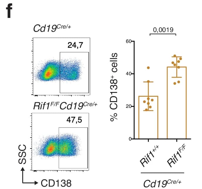 Open access visualization of Scatter Plot, Bar Chart, CD138, SSC, Cd19Cre/+