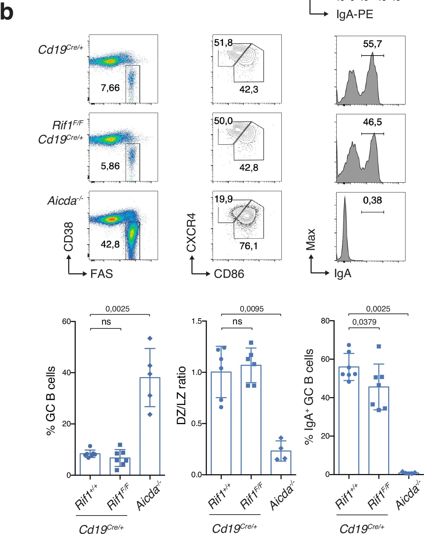 Open access visualization of Scatter Plot, Histogram, Bar Chart, GC B cells, FAS