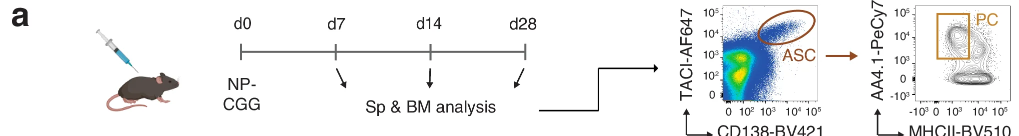 Open access visualization of Timeline, Scatter Plot, Contour Plot, Mouse, Syringe