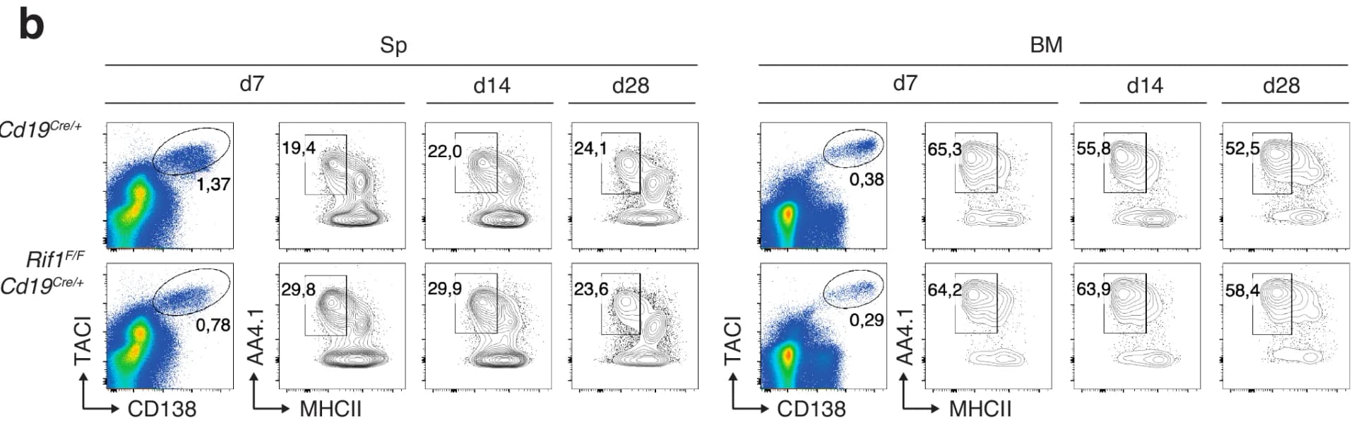 Open access visualization of Scatter Plot, Contour Plot, TACI, CD138, AA4.1