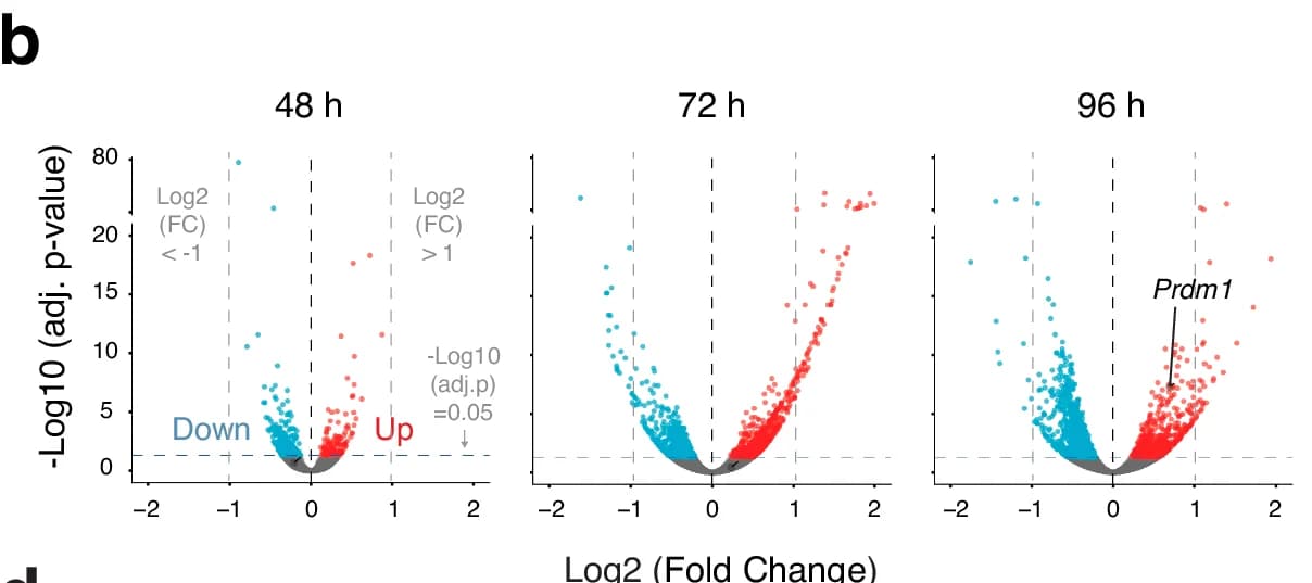 Open access visualization of Volcano Plot, Time Series, 48 h, 72 h, 96 h