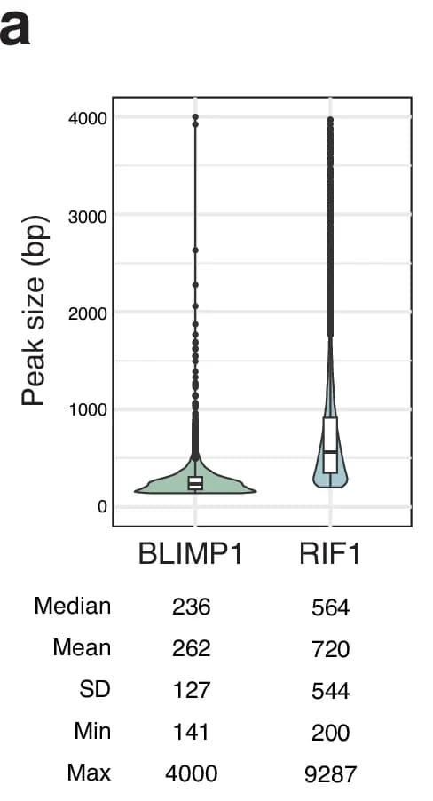 Open access visualization of Violin Plot, Box Plot, Peak size, BLIMP1, RIF1