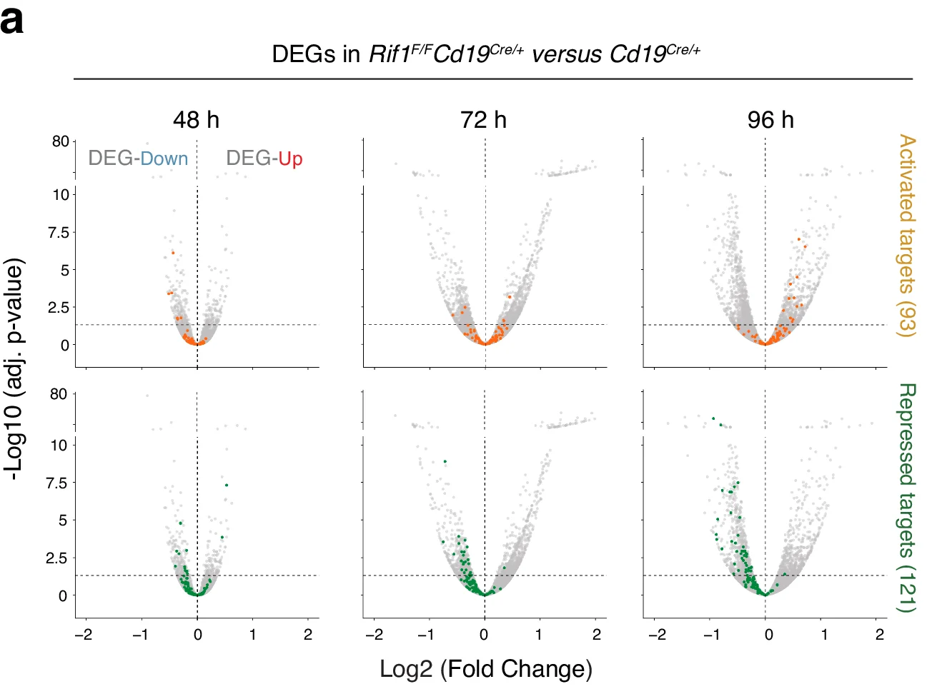 Open access visualization of Volcano Plot, Differentially Expressed Genes, Rif1F/FCd19Cre/+ versus Cd19Cre/+, 48 h, 72 h