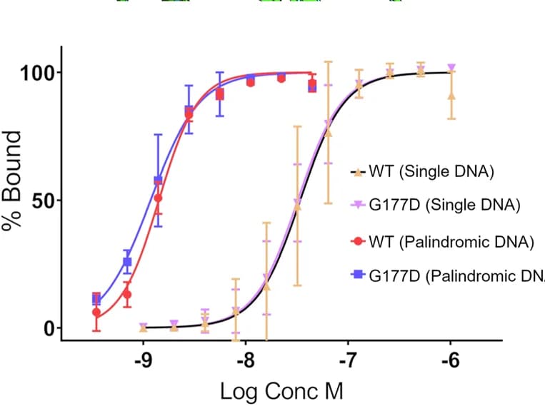 Open access visualization of Line Plot, Error Bars, EMSA, WT, G177D