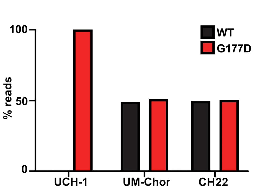 Open access visualization of Bar Plot, Clustered, RNA-Seq Analysis, Chordoma Cell Lines, Transcription