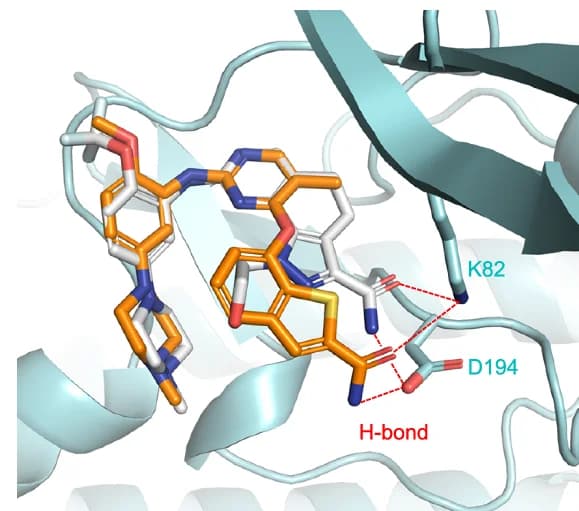 Open access visualization of Protein Structure, Chemical Structure, IIP0943, Onvansertib, PLK1