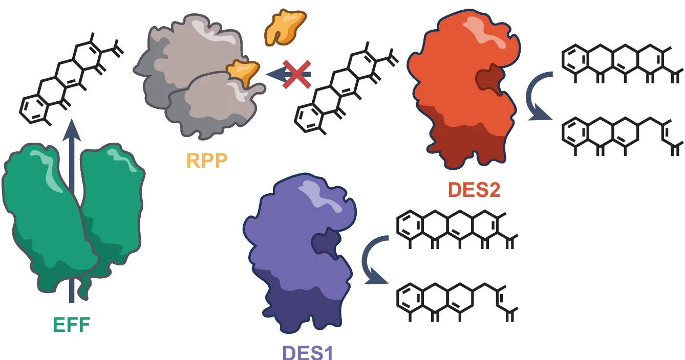 Open access visualization of Workflow, Illustration, Chemical Structure, Tetracycline, Resistance
