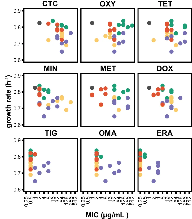 Open access visualization of Scatter Plot, Heatmap, Antibiotic Susceptibility Testing, Tetracycline Antibiotics, Minimum Inhibitory Concentration