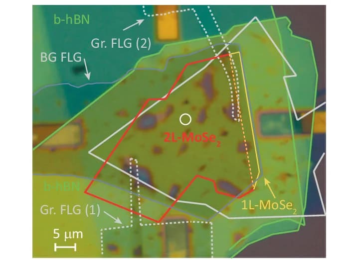 Open access visualization of Microscopy, Micrograph, Sample, Measurement Spot