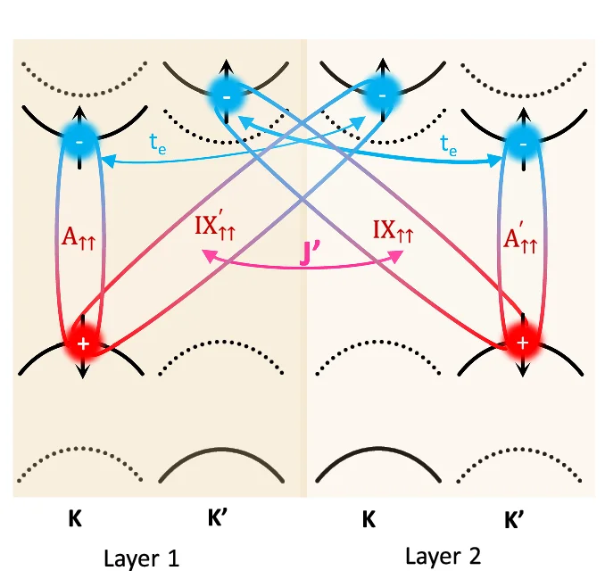 Open access visualization of Illustration, Workflow, J' Coupling, Singlet IXs, Electron Tunneling