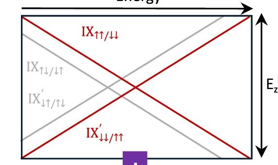 Open access visualization of Line Plot, IX Exciton, Electric Field, Singlet, Triplet