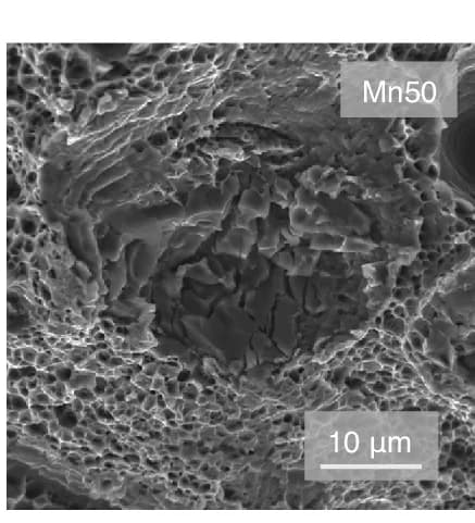 Open access visualization of Microscopy, SEM Images, Fracture Surfaces, Mn50, Source Data