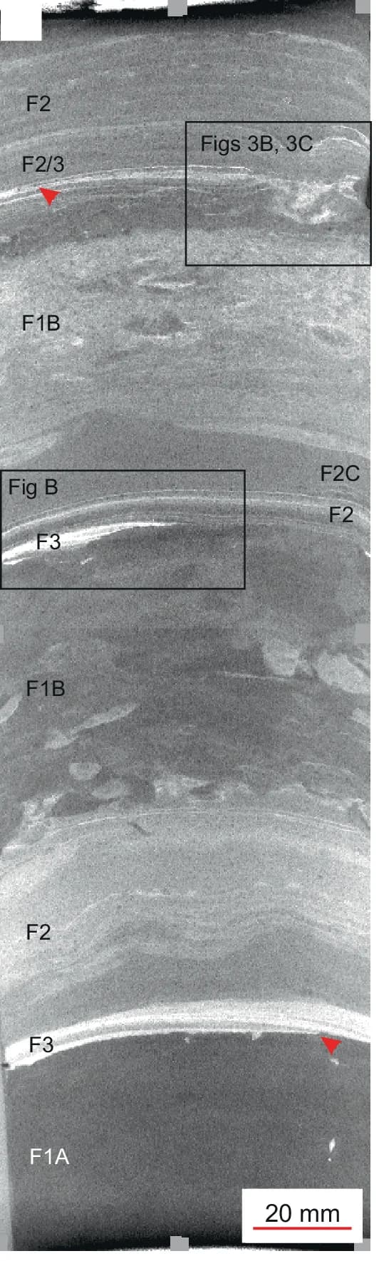 Open access visualization of Microscopy, Event Beds, Facies Successions, Ripple Cross-Lamination, Silt