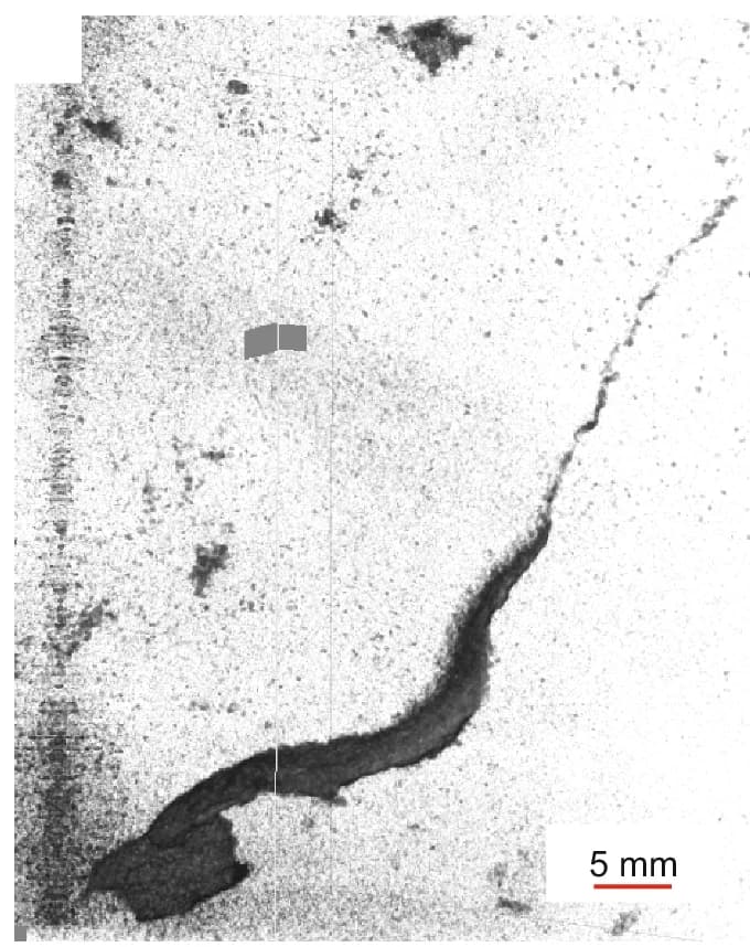 Open access visualization of Microscopy, Zoophycos, Lobate Burrow, Core Section, Southern Japan Trench