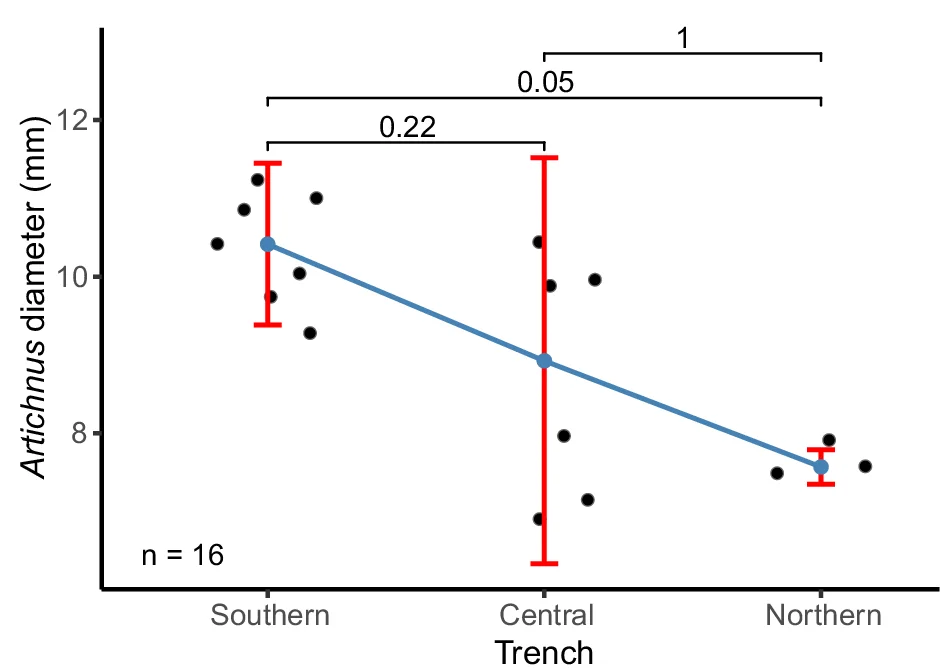 Open access visualization of Line Plot, Scatter Plot, Error Bars, Sedimentary Total C Content, Artichnus Diameter