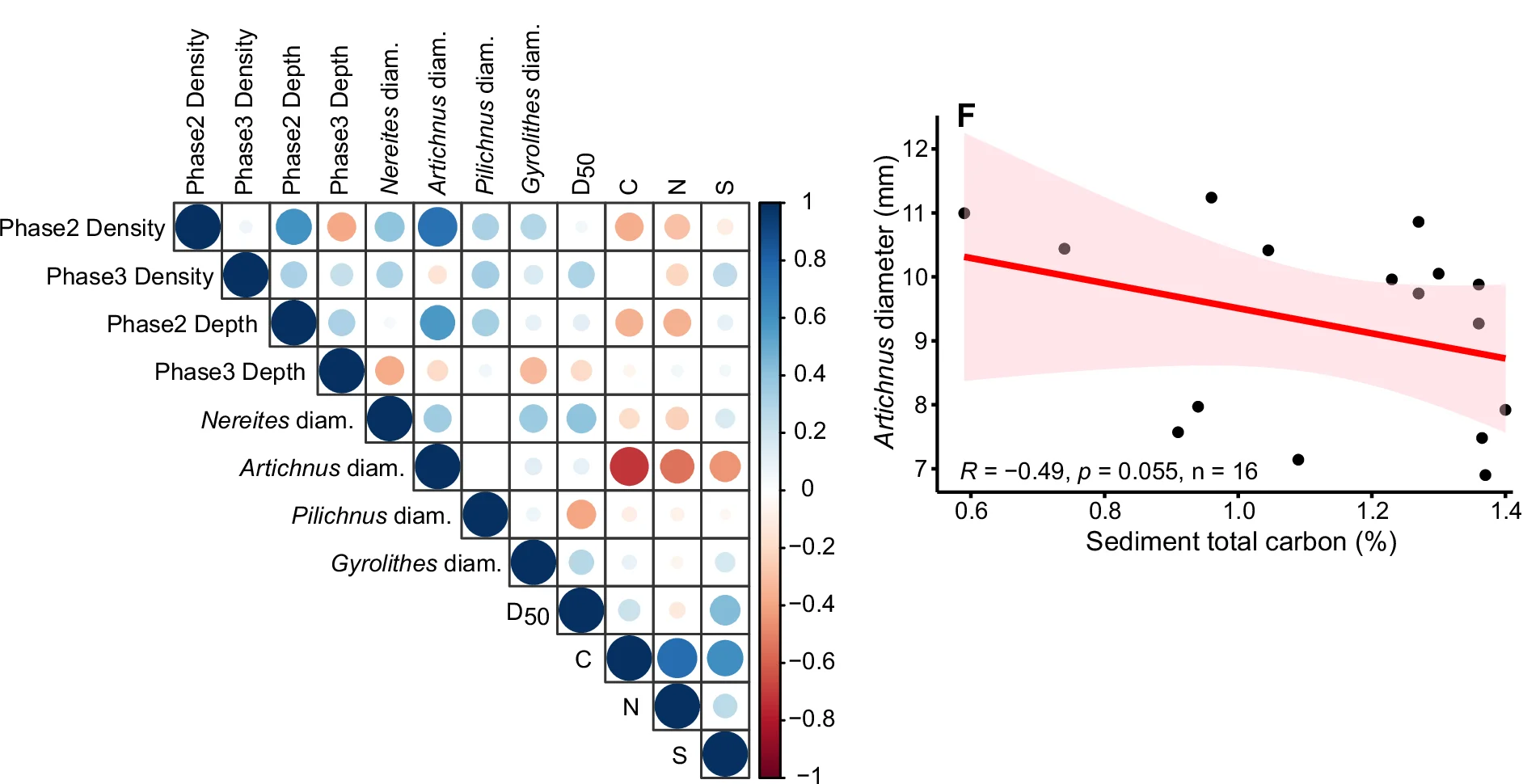 Open access visualization of Bubble Plot, Regression Plot, Scatter Plot, Spearman Rank Correlation, Bioturbation Properties