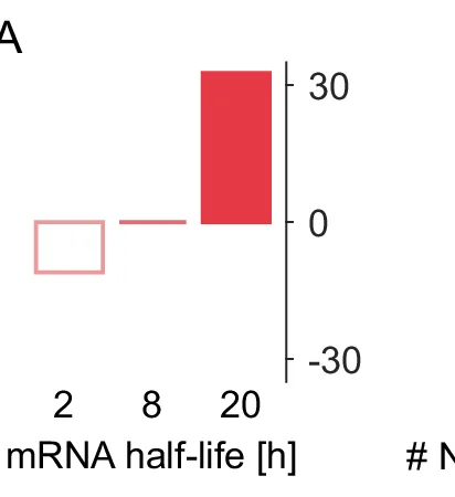 Open access visualization of Bar Plot, mRNA, Protein, Dendritic mRNA, Somatic mRNA