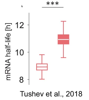 Open access visualization of Box Plot, mRNA, Protein, Neurites, Somata