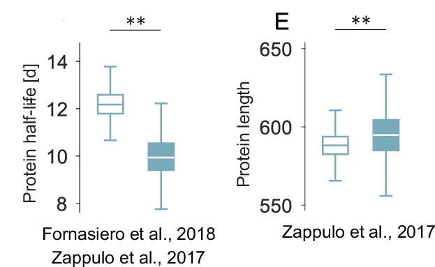 Open access visualization of Box Plot, Protein half-lives, mRNA, Enrichment scores