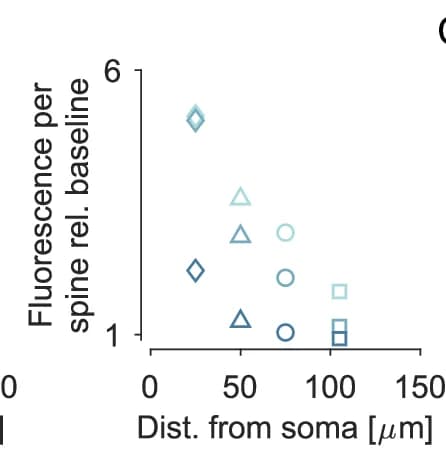 Open access visualization of Scatter Plot, Fluorescence, Dendritic Spines, Experimental Data, Soma Distance