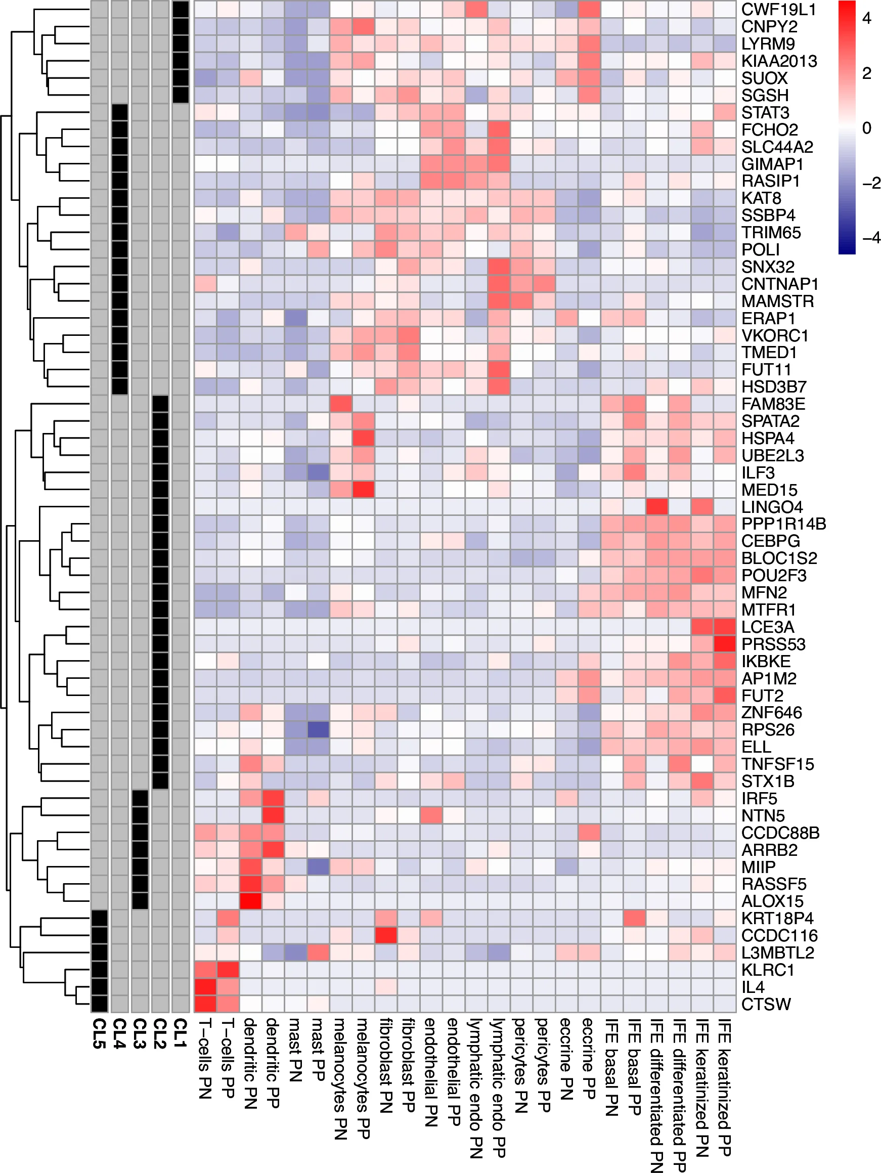 Open access visualization of Heatmap, Clustered, Expression Level, Cell Type, Gene