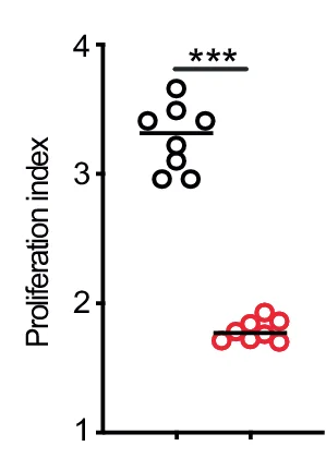 Open access visualization of Scatter Plot, Bar Plot, CTV Dilution, Proliferation Index, Cell Division