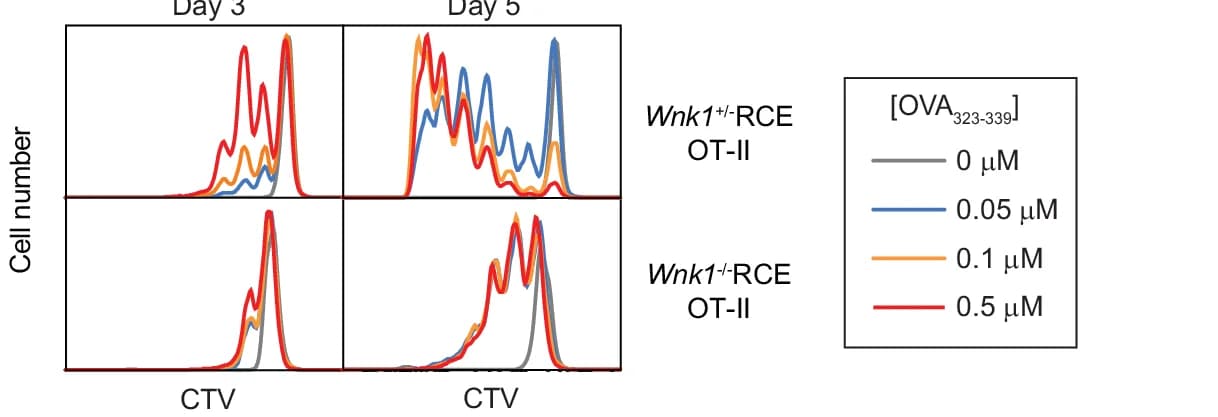 Open access visualization of Line Plot, Density Plot, WNK1, CTV-labelled OT-II CD4+ T Cells, Bone Marrow-Derived APCs