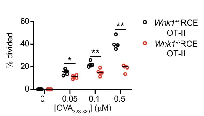 Open access visualization of Scatter Plot, WNK1, CTV-labelled OT-II CD4+ T Cells, Bone Marrow-Derived APCs, OVA 323-339 Peptide
