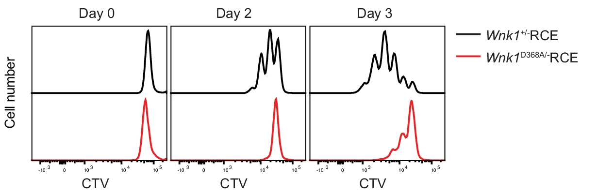 Open access visualization of Line Plot, Density Plot, Ridge Plot, Naive CD4+ T Cells, CTV-labelled T Cells