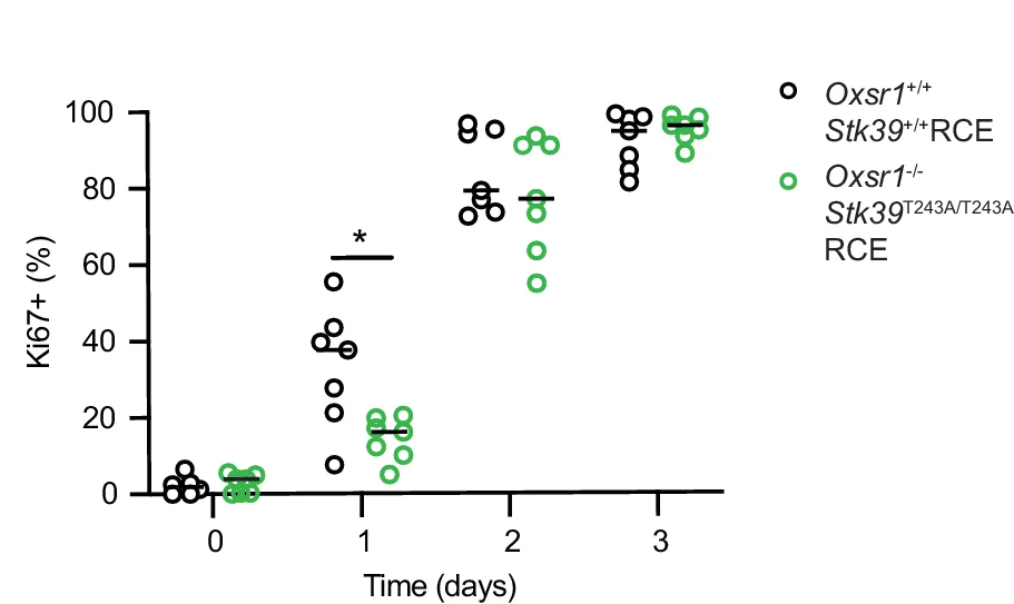 Open access visualization of Scatter Plot, Naive CD4+ T Cells, Genotypes, Inhibitors, Anti-CD3 Antibodies