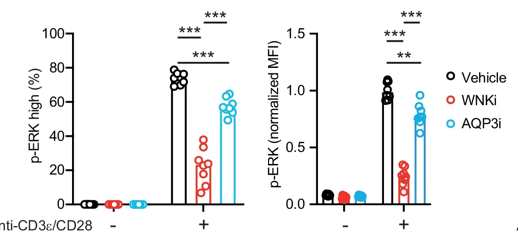 Open access visualization of Bar Plot, Scatter Plot, Error Bars, CD4+ T Cells, Genotypes