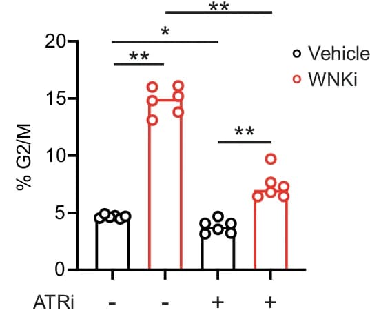 Open access visualization of Bar Plot, Error Bars, Scatter Plot, CD4+ T Cells, G2/M Phase