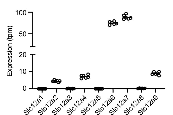 Open access visualization of Scatter Plot, mRNA Levels, Scl12a Genes, Wnk1 +/- CD4+ T Cells, RNAseq