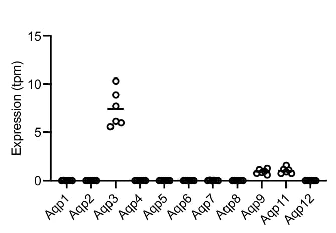 Open access visualization of Scatter Plot, CD4+ T Cells, Aqp Genes, mRNA Levels, RNAseq